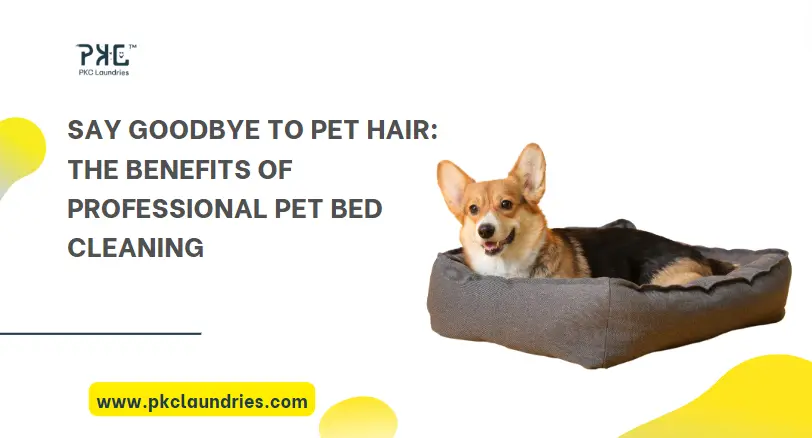 Pet bed cleaning service near me